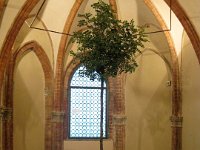 Installazione HOMO Gallerie dell'Accademia Venezia (apertura) ottobre 2009